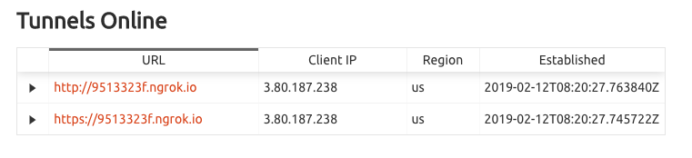 Viewing online tunnels for ngrok