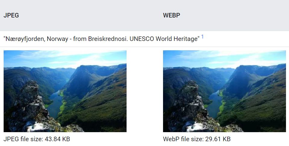Side-by-side comparison of the JPG and WebP versions of the same picture
