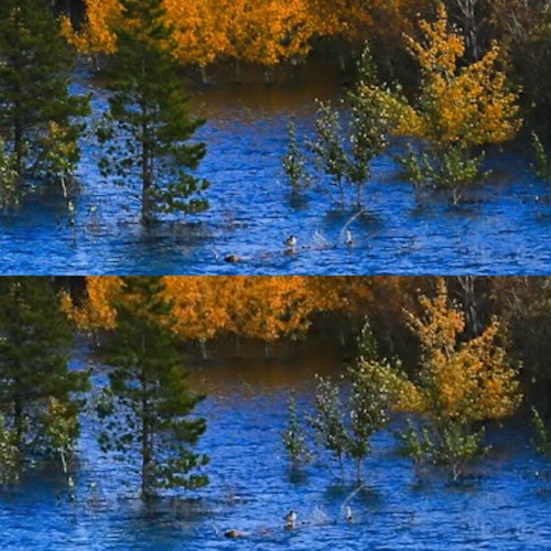 Photograph comparison vignette