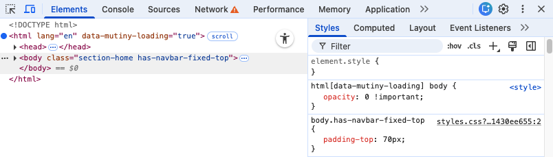 DevTools showing the CSS selector with the opacity: 0 declaration