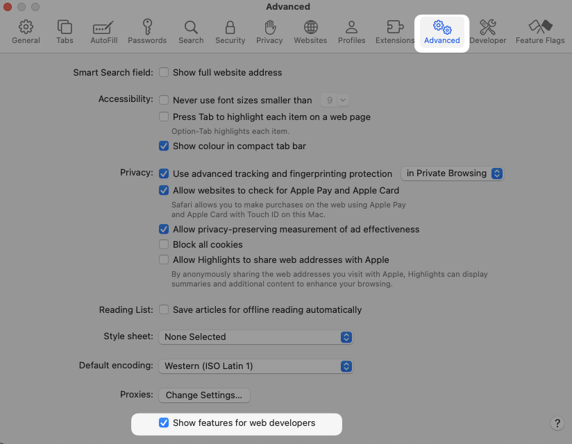 Safari features for web developers toggle