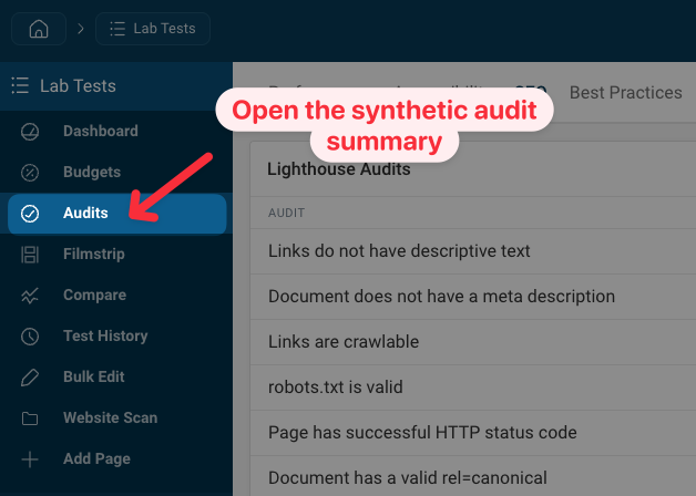 Opening the Audits report