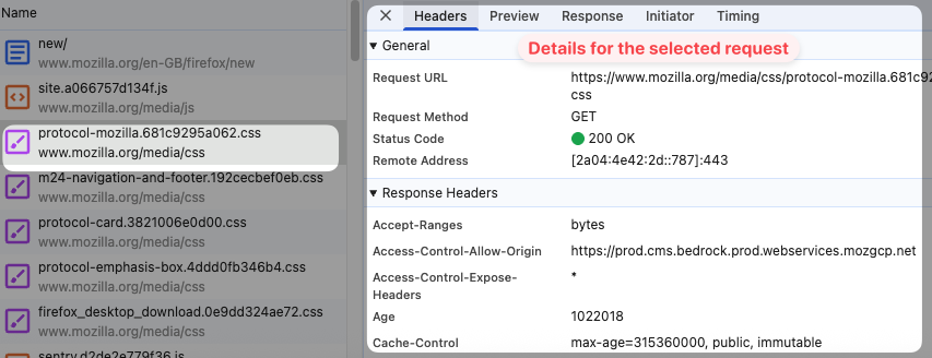 Request details in Chrome DevTools