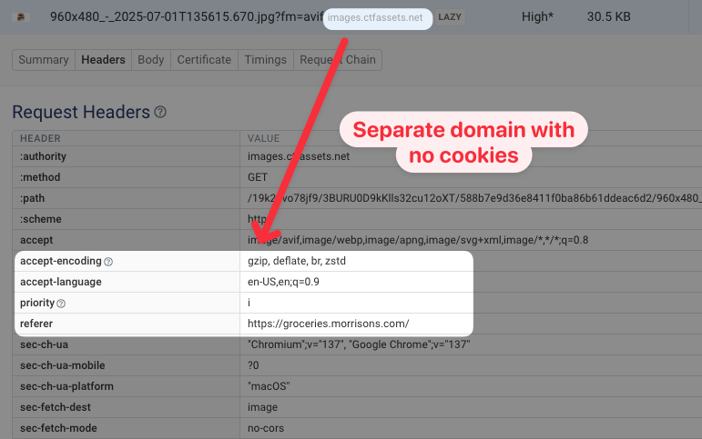 Cookie-free domain