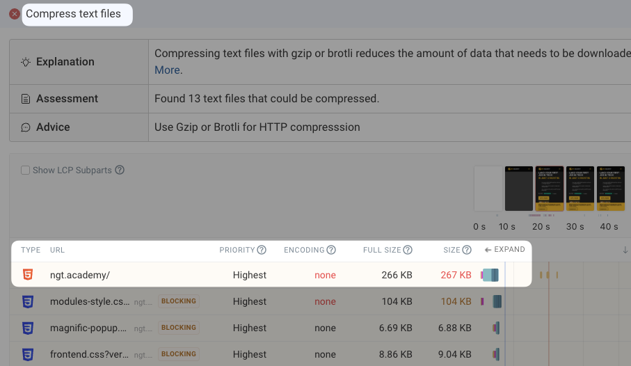 DebugBear test result showing HTML text compression details