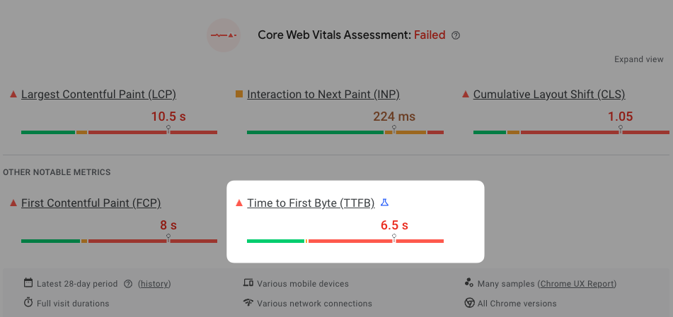 TTFB in Google CrUX data on PageSpeed Insights