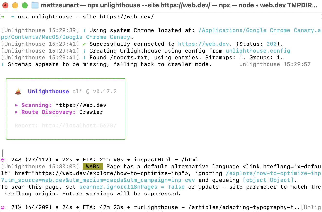 Unlighthouse terminal output
