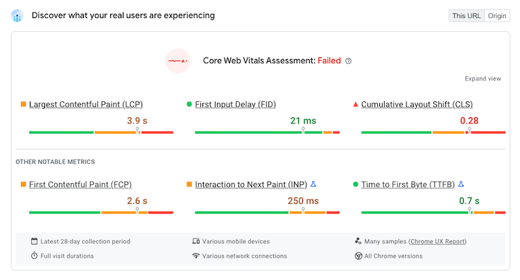 PageSpeed Insights result showing real user data