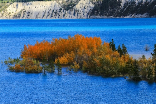 Photo of water and trees