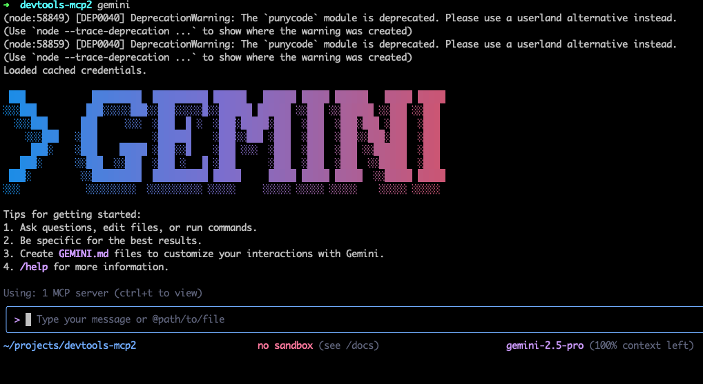 Gemini terminal after launch