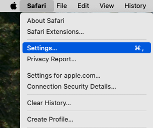 Open Safari Settings