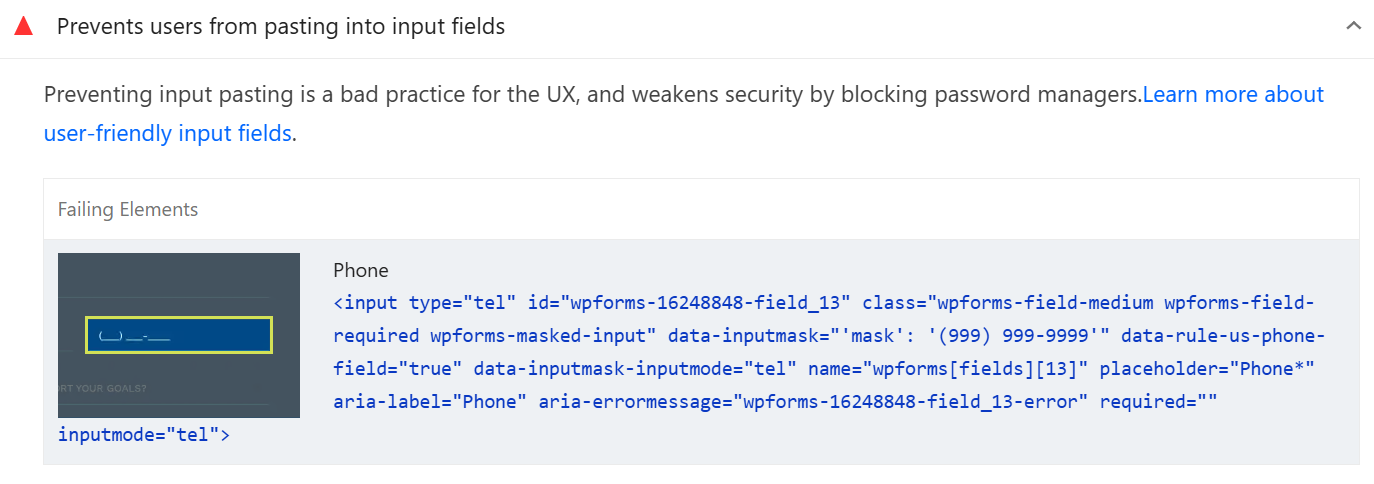 Allows users to paste into input fields audit