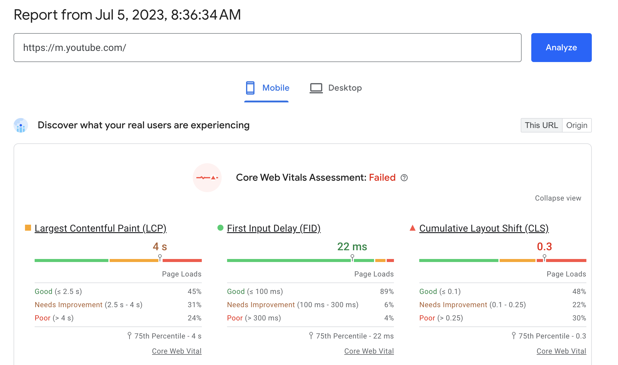 PageSpeed Insights report